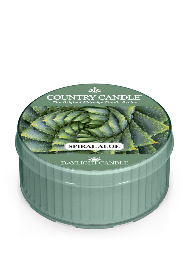Spiral Aloe | DayLight - Kringle Candle Israel