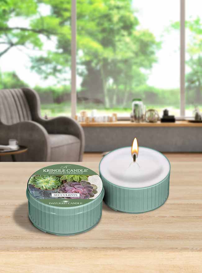 Succulents | DayLight - Kringle Candle Israel