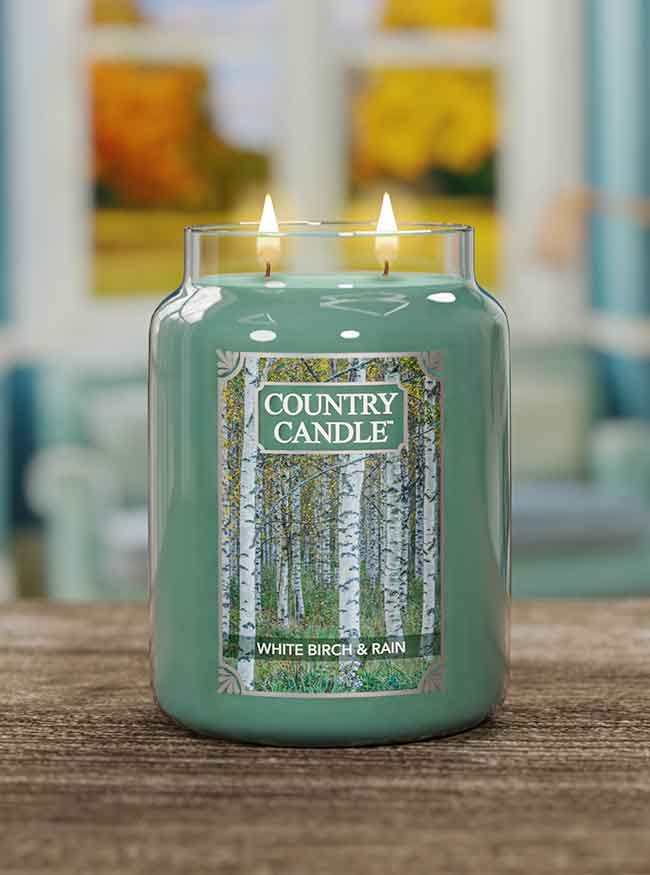 White Birch & Rain Large Jar | Soy Candle - Kringle Candle Israel