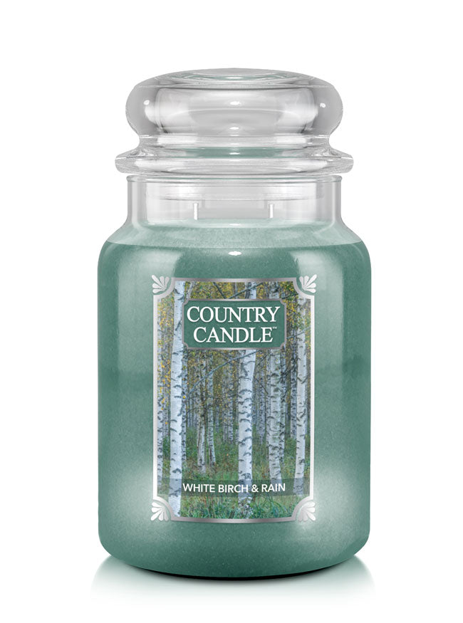 White Birch & Rain Large Jar | Soy Candle - Kringle Candle Israel