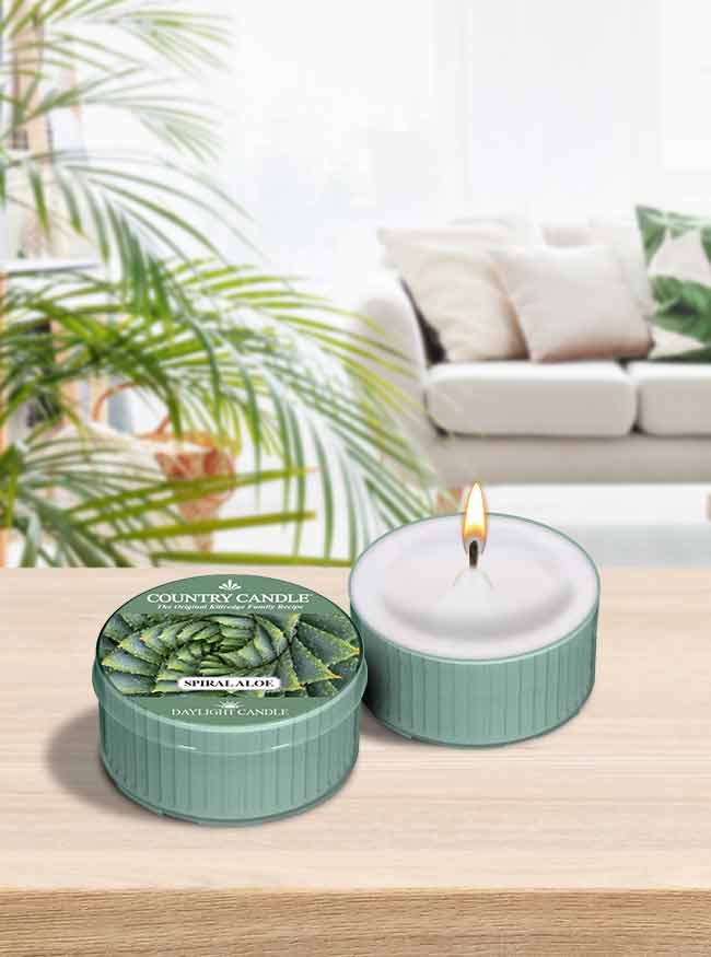 Spiral Aloe | DayLight - Kringle Candle Israel